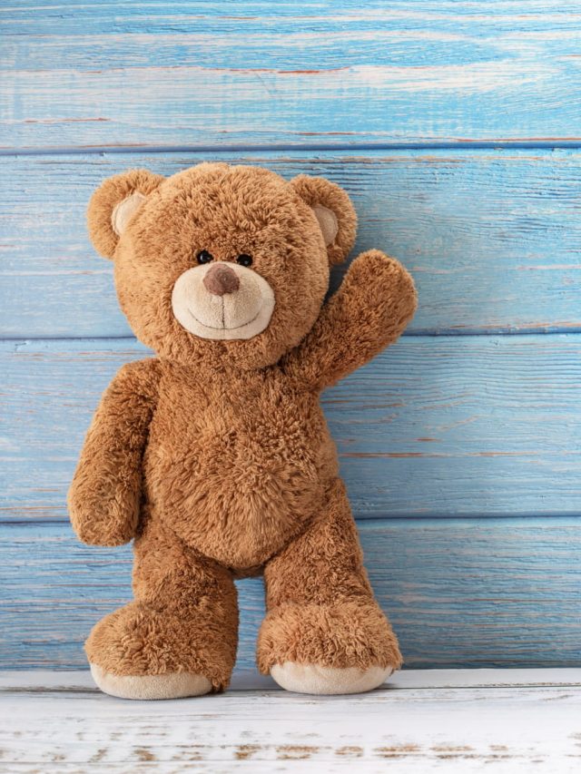 10 Best Happy Teddy Day Wishes 2023, Quotes, Images & WhatsApp Status For Your Beloved Partner